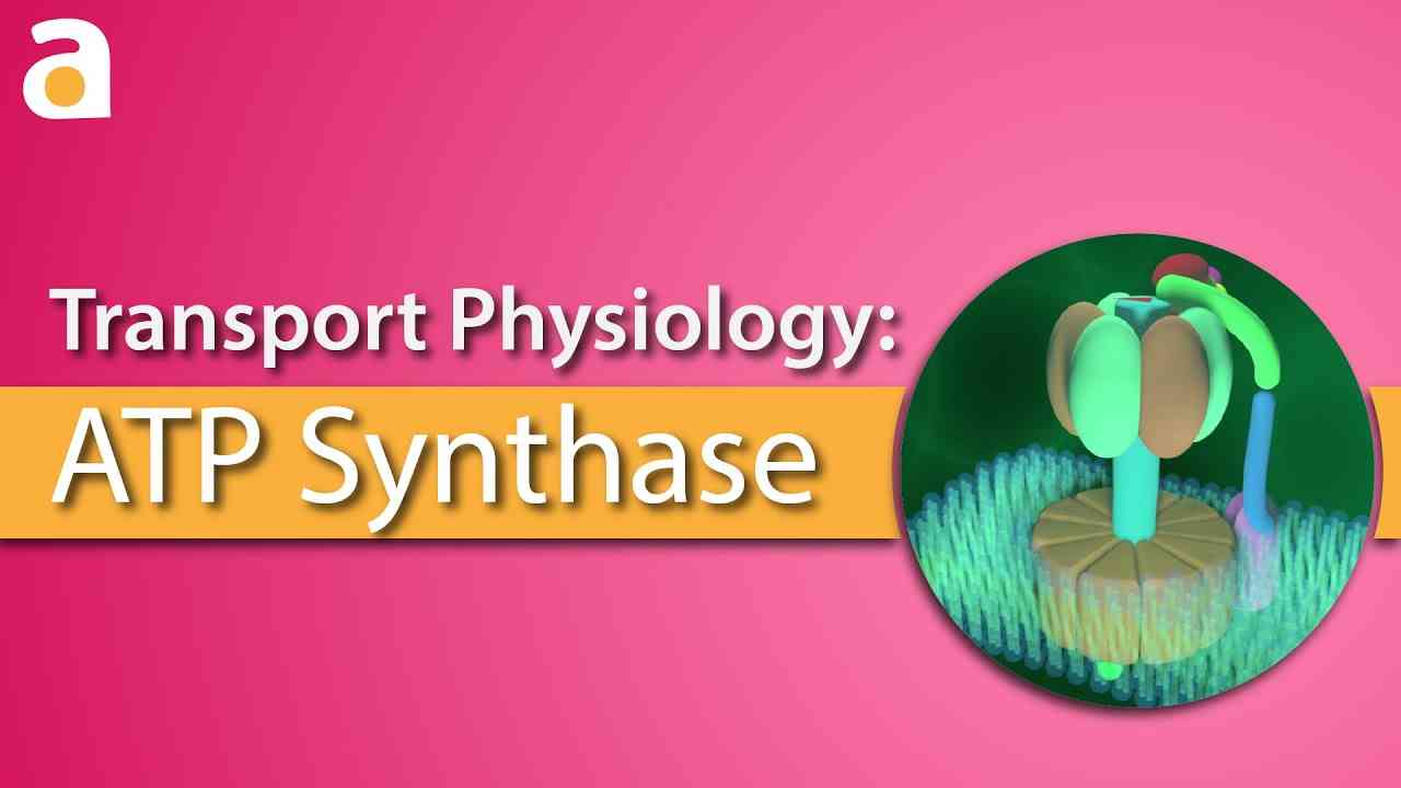 atp-synthase-header