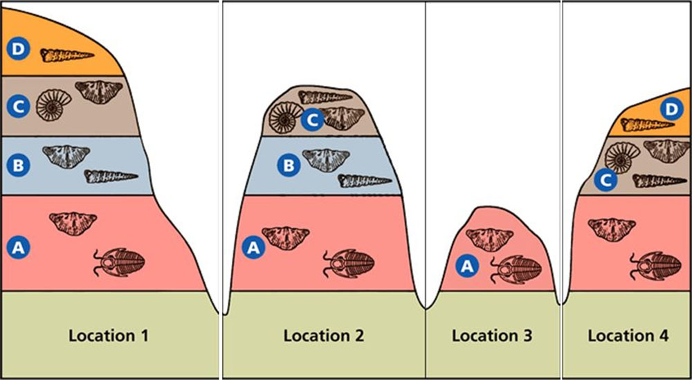 index-fossils