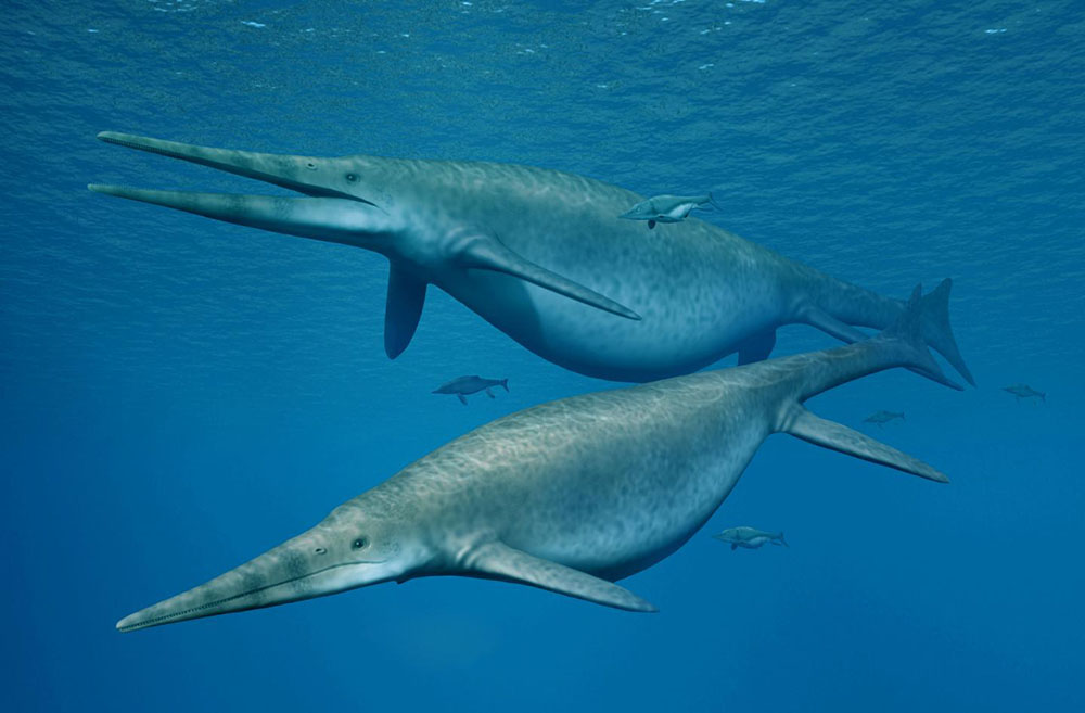 ichthyosaurs