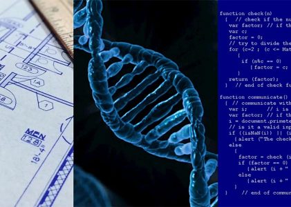 DNA kód má svou gramatiku