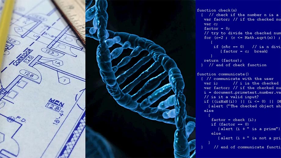 dna-grammar