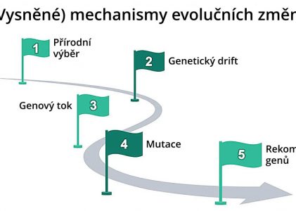 Evoluční mechanismy…